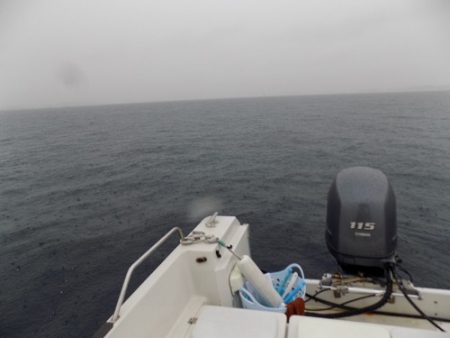 フィッシングボート空風(そらかぜ) 釣果