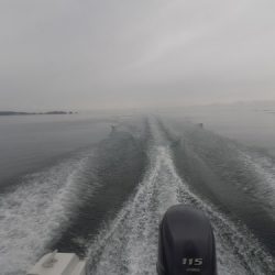 フィッシングボート空風(そらかぜ) 釣果