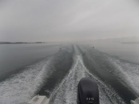 フィッシングボート空風(そらかぜ) 釣果