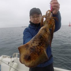 フィッシングボート空風(そらかぜ) 釣果