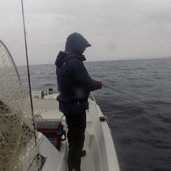 フィッシングボート空風(そらかぜ) 釣果