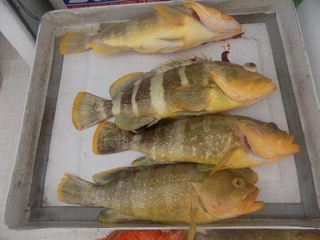 フィッシングボート空風（そらかぜ） 釣果