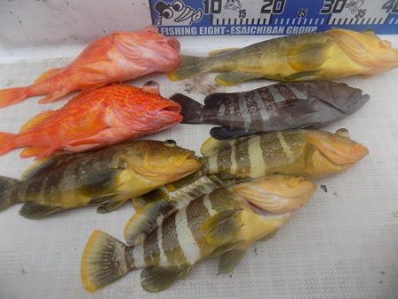 フィッシングボート空風(そらかぜ) 釣果