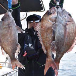 Fisherman Dreams DI 釣果