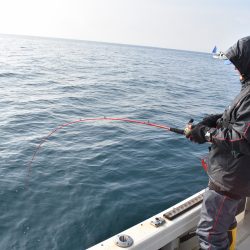 Fisherman Dreams DI 釣果