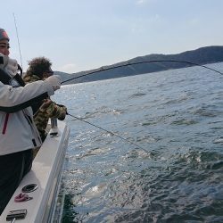 フィッシングボートACE(エース) 釣果