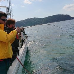 フィッシングボートACE(エース) 釣果