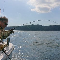 フィッシングボートACE(エース) 釣果