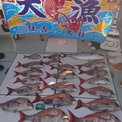 フィッシングボートACE(エース) 釣果