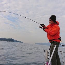 フィッシングボートACE(エース) 釣果
