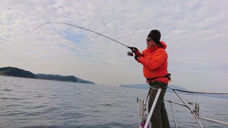 フィッシングボートACE(エース) 釣果