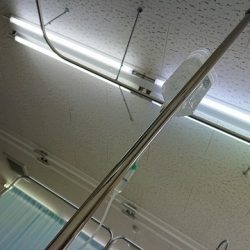 フィッシングボートACE(エース) 釣果