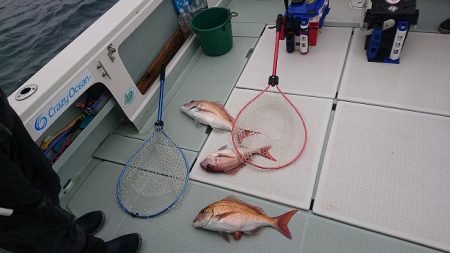 フィッシングボートACE(エース) 釣果