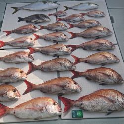 フィッシングボートACE(エース) 釣果