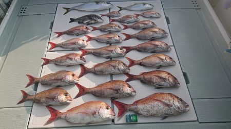 フィッシングボートACE（エース） 釣果