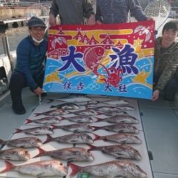 フィッシングボートACE(エース) 釣果