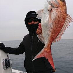 フィッシングボートACE(エース) 釣果