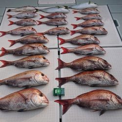 フィッシングボートACE(エース) 釣果