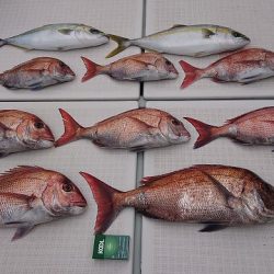 フィッシングボートACE（エース） 釣果