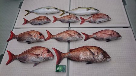 フィッシングボートACE（エース） 釣果