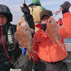 フィッシングボートACE(エース) 釣果