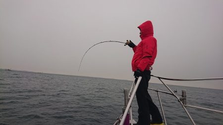 フィッシングボートACE(エース) 釣果