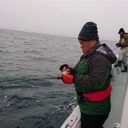 フィッシングボートACE(エース) 釣果