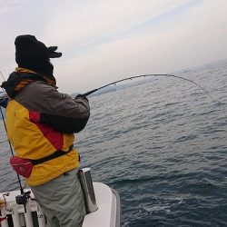 フィッシングボートACE(エース) 釣果