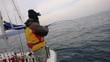 フィッシングボートACE(エース) 釣果