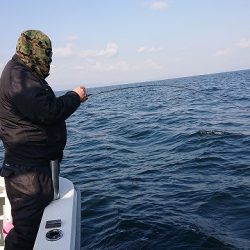 フィッシングボートACE(エース) 釣果