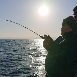 フィッシングボートACE（エース） 釣果