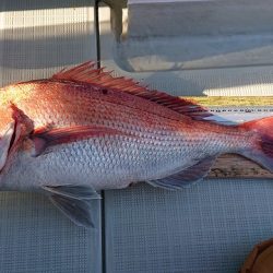 フィッシングボートACE（エース） 釣果