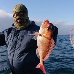 フィッシングボートACE（エース） 釣果