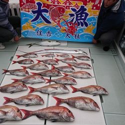 フィッシングボートACE（エース） 釣果