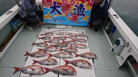 フィッシングボートACE（エース） 釣果