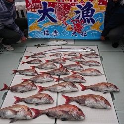 フィッシングボートACE（エース） 釣果