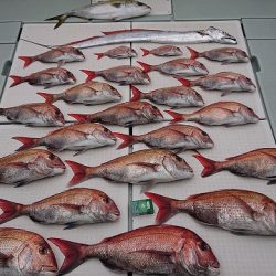 フィッシングボートACE（エース） 釣果