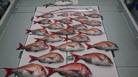 フィッシングボートACE（エース） 釣果