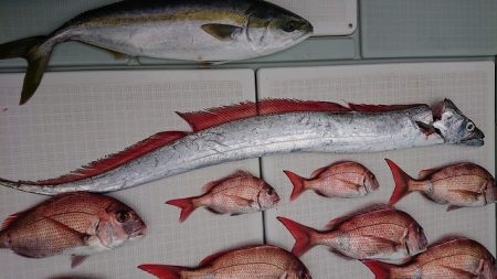 フィッシングボートACE（エース） 釣果