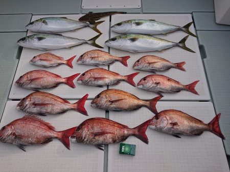 フィッシングボートACE（エース） 釣果