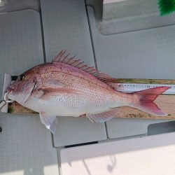 フィッシングボートACE(エース) 釣果