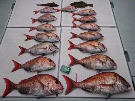 フィッシングボートACE(エース) 釣果