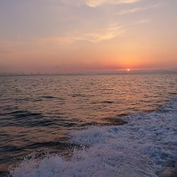 フィッシングボートACE(エース) 釣果