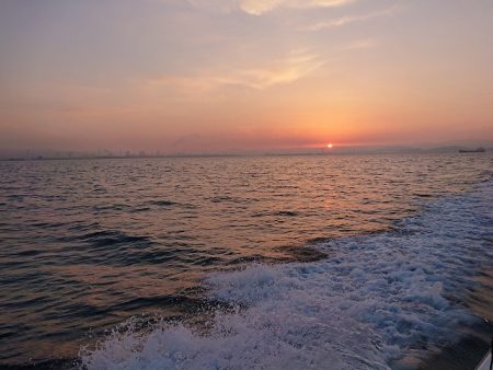 フィッシングボートACE(エース) 釣果