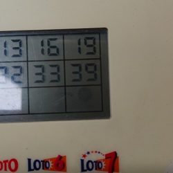 フィッシングボートACE(エース) 釣果