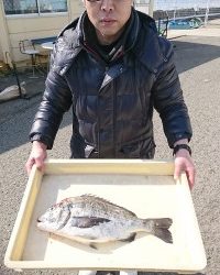 和歌山マリーナシティ釣り公園 釣果