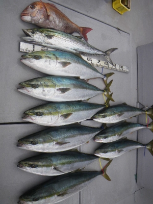 磯部釣船 直栄丸 釣果