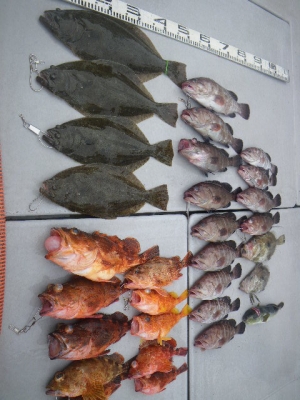 磯部釣船 直栄丸 釣果