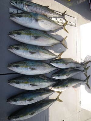 磯部釣船 直栄丸 釣果