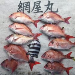 網屋丸 釣果